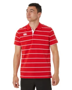 Canterbury Thin Stripe Polo - Formula One
